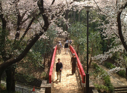美しい日本